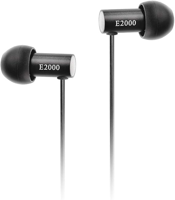 Final Canal Type Earphone E2000 FI-E2DALaJapan Domestic Genuine productsa