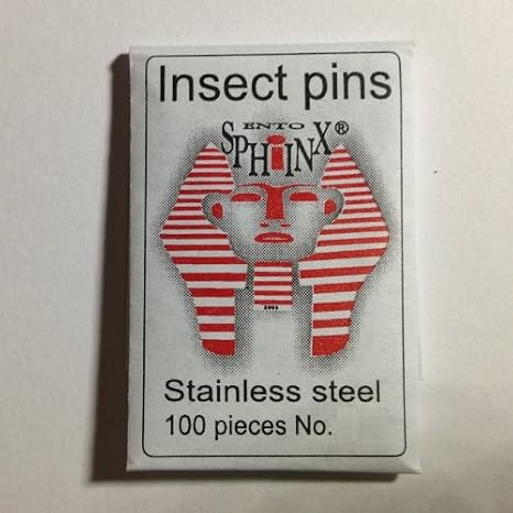 Stainless Steel Insect Pins Size 1