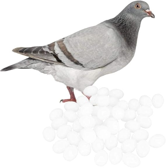 50 Pack Solid Plastic Dummy Eggs for Pigeons - Hatching and Breeding Supplies Fake Eggs