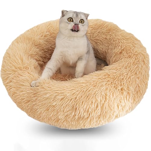Donut Dog Bed Dog Bed Anxiety Dog Bed Comfortable Washable for Cat DogBeige,19.5 50cm