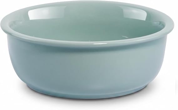 Ceramic Replacement Dog Bowl for Wordcam SS02 Model, 6.9"X2.6", Light Green