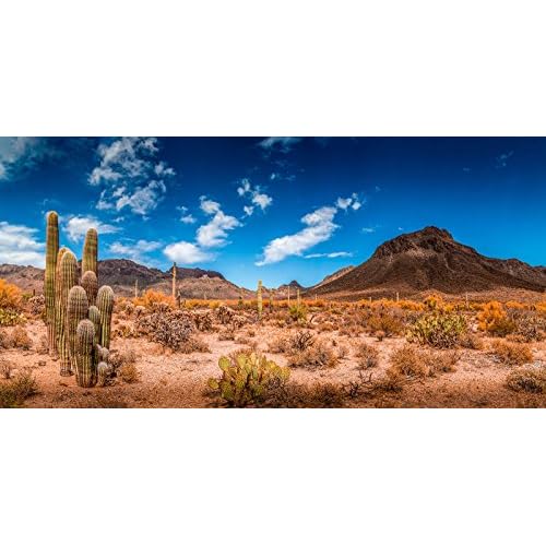 Reptile Habitat, Terrarium Background, Blue Sky with Mountains & Cactus - Various Sizes 18 H x 48 W