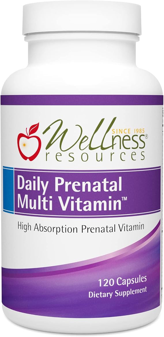 Wellness Resources Daily Prenatal Multi Vitamin - Methylated Folate Zinc Iron Bisglycinate Choline & Key Nutrients - Natural Prenatal Postnatal Postpartum Vitamins for Women - 120 Caps
