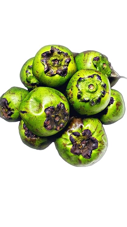 Fresh Black Sapote (2 lbs)