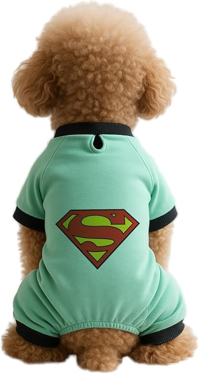 Kedi ve Köpek Kıyafeti & Elbisesi Mint 4 Bacak Tulum Superman Yeşil XL