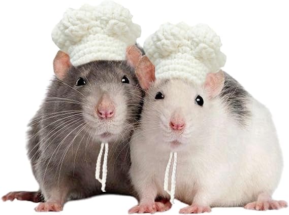 Guinea Pig Chef Hat - Hand Knitted Small Animal Cooking Chef Cap with Adjustable Strap Halloween Costume Outfit Prop Clothes Accessories for Rabbit Bunny Chinchilla Kitten Puppy (Small)