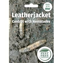 Pest Free Gardening Natural Leatherjacket Grub Nematodes Killer | Kills Daddylong Leg Grubs | Safe for Wildlife, Pets & Kids | (Treats 100sqm)