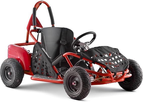 1000W 48V Electric Go Kart, Gokart with Steel Tubular Frame