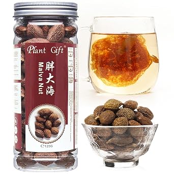 Plant Gift Malva Nut, Dried Sterculia Lychnophora Tea, Lychnophora hypotensive, Dried Pangdahai scaphium scaphigerum125g/4.4oz