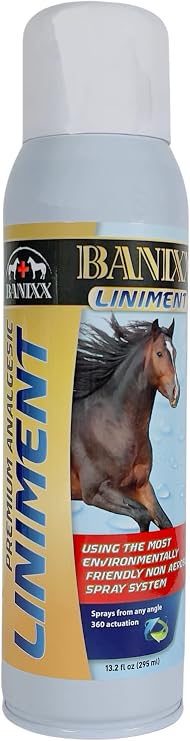 Banixx Premium Liniment Spray, for Horses, Contains Natural Ingredients to Support Stiff Joints and Overworked Muscles, Safe for Sensitive Skin, and Easy to Apply, 13.2 oz