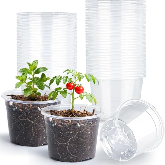 RooTrimmer 100 Pack 2.8 Inches Clear Plant Pots with Drainage Holes, Transparent Seeding Nursey pots, Round Plastic pots for Seeds Starter, Seeds Germination