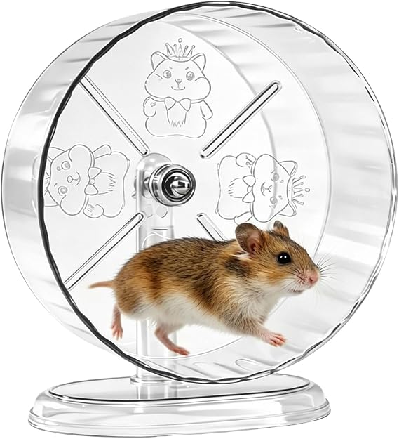 24cm Silent Hamster Wheel Syrian Large Hamster Wheel Acrylic