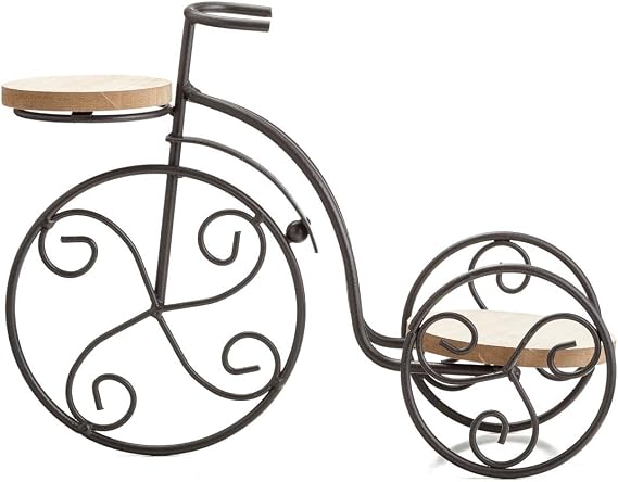 2-Plant Iron Bicycle Plant Stand, Metal Wire Flower Pot Wrought Iron Planter for Plants, Flowers, Garden, Patio, Office, Balcony Outdoor and Indoor Decor