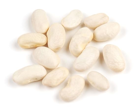 Cannellini Beans, 10 lb Dried Italian White Kidney Beans for Soup, Pasta & Stew Bulk by Woodland Gourmet