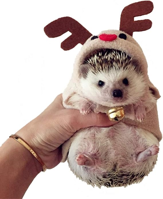 Hedgehog Clothes Elk Costume Reindeer Costume for Hedgehogs Small Animal Apparel Polar Fleece Handmade Hedgehog Hoodie Dress Up Accessories Outfit for Cosplay Halloween Christmas Party Pet Supplies