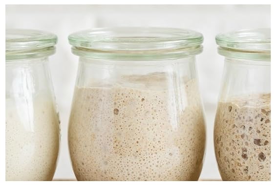 Positively Probiotic Alaskan | Sourdough Starter Culture