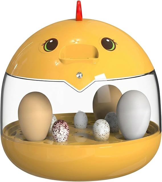 Duck Egg Incubator Smart Automatic Egg Incubator with 360 View, 5- Capacity Digital Thermostat for Chicken Eggs, Duck for Home & Education, Yellow Chick Design