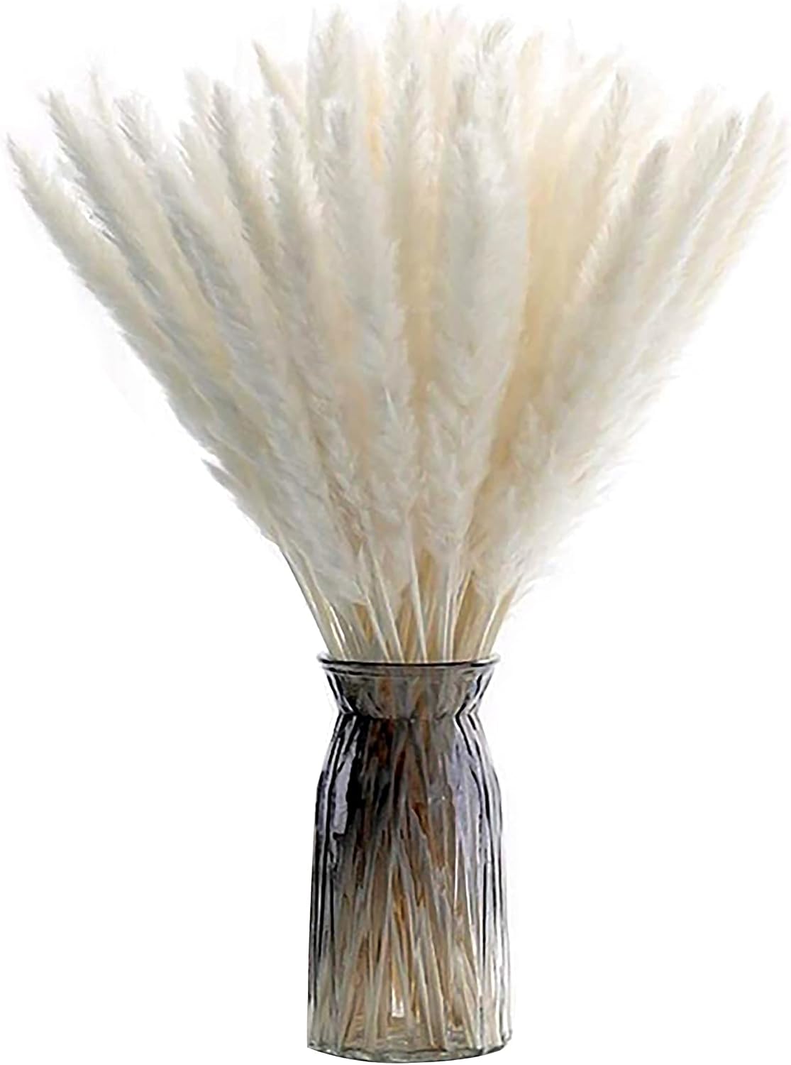 Girotondo Dried Pampas Grass 30 Stems 43CM for Boho Decor, Fluffy White Pampas Grass for Home and Wedding Decor, Large Pampas Grass for Dried Flowers Bouquet - Decorative Flower Vase