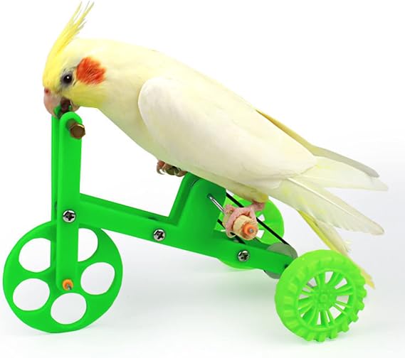 Bird Bicycle Toy, Parrot Puzzle, Small Medium Bird, Lovebird Conures Parakeet, Educational, Intelligence Training, Stainless Steel, Unisex, No Assembly Required