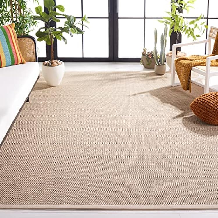 SAFAVIEH Area Rug 9x12 - Natural Fiber Collection - Large - Marble & Beige, Sisal, Woven Design with Border NF143C