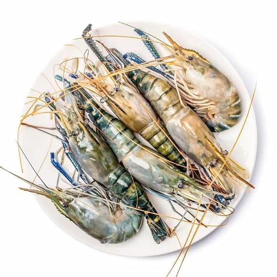 OCEANZEN Jumbo Freshwater Prawns, Head-On Shell-On, 2 lbs