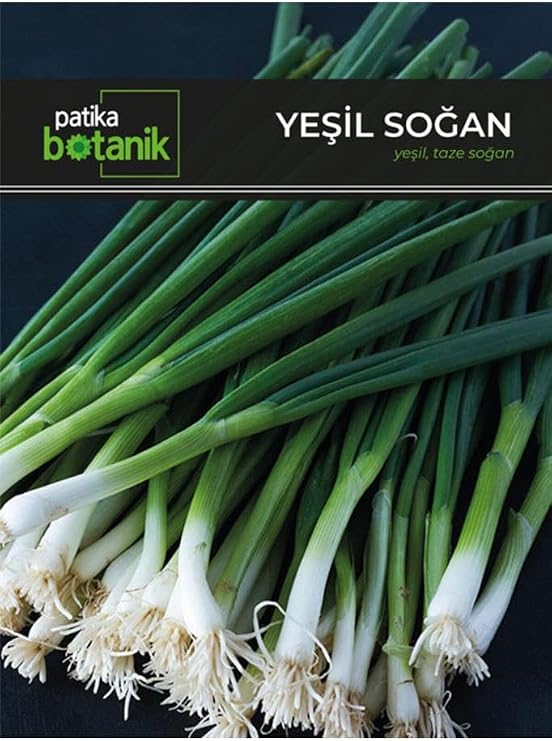 400 Horse Seeds Local Green Onions