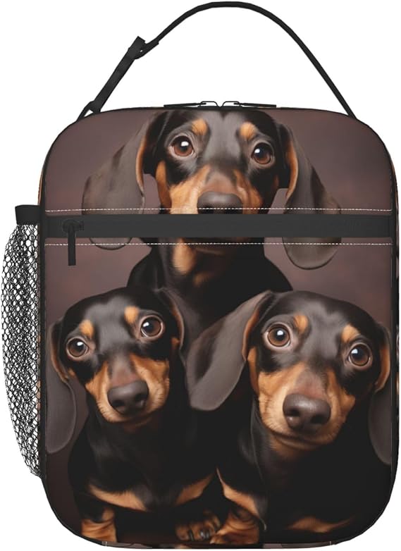 Dachshund Lunch Box for Kids Girls Boys Wiener Dog Lunch Bag Cooler Tote Reusable Insulated Lunch Bag Container Gifts for Office Picnic Travel Work School
