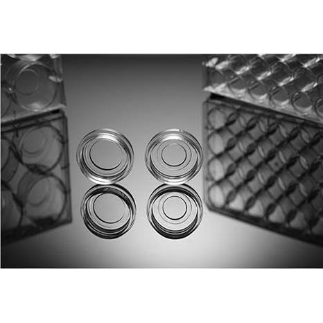 Nest Scientific 801002 TC-Treated Cell Culture Dish, Sterile, 15 mm Diameter (Pack of 200)