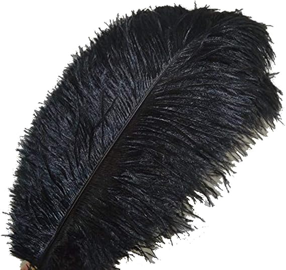 KOLIGHT Set of 10pcs 12''~14''(30~35cm) Natural Ostrich Feathers for DIY Home Wedding Party Office Decoration (Black)