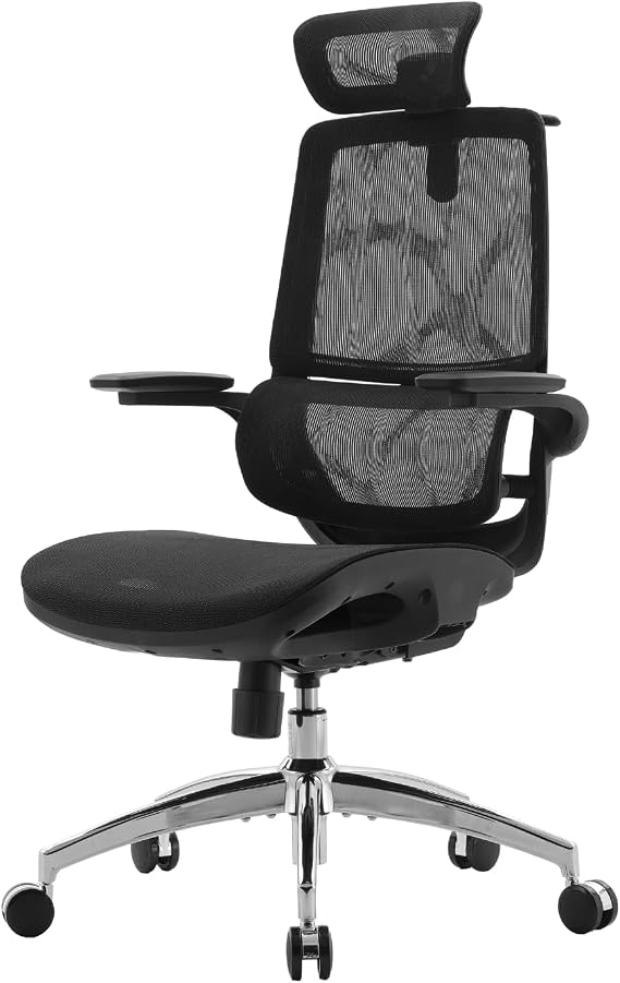 SIHOO M59AS Ergonomic Office Chair with 3D Coordinating Folding Armrests