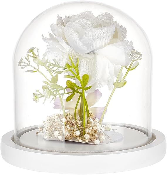 BENECREAT 5x5 Inch White Lacquered Glass Dome Cloche Wooden Display Dome, Clear Glass Cloche Bell Jar for DIY Flower Craft, Christmas Decorations