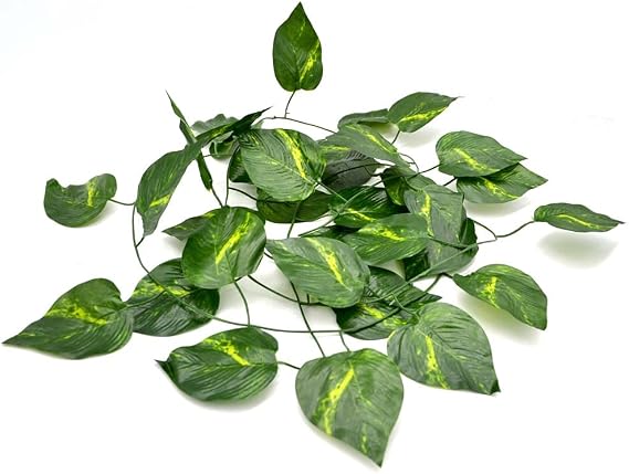 Jungle Reptile Vine for Terrarium Reptile Decor Plants