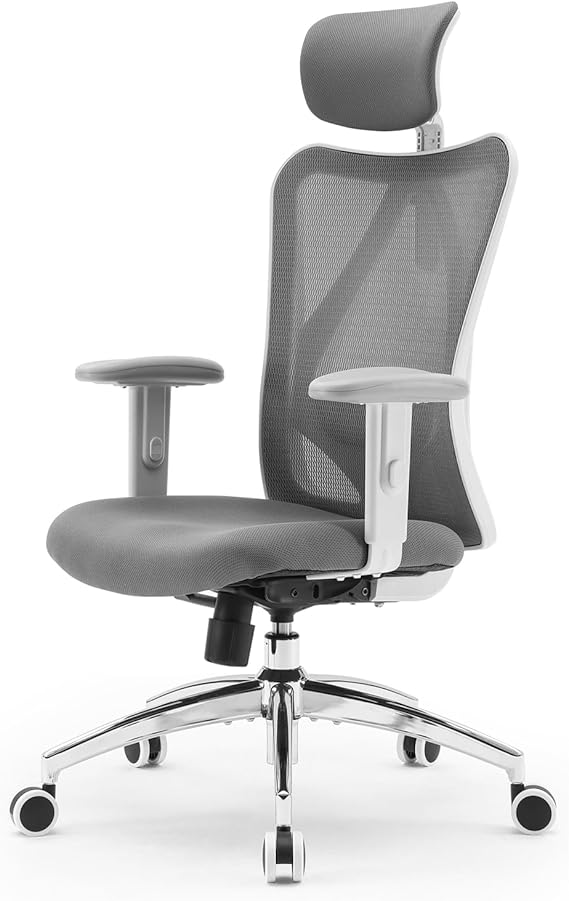 SIHOO M18 Ergonomic Office Chair, Adjustable Lumbar Support, 330 lb, Grey