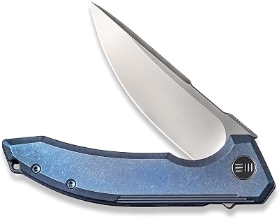 We Knife WE210163: Quixotic Framelock Blue