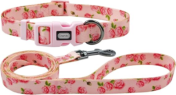 Dog Collar Leash Set, Floral Pattern, Polyester Material, Adjustable Collar and 5ft Matching Leash, for Small Dogs.(S, Pink Rose)