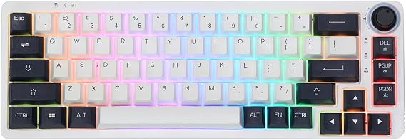 EPOMAKER Theory TH68 Pro 65% 67 Keys RGB Hot Swap Programmable Bluetooth 5.0/2.4Ghz Wireless/USB-C Wired Triple Modes Mechanical Gaming Keyboard with Rotary Knob for Win/Mac (Wisteria Linear Switch)