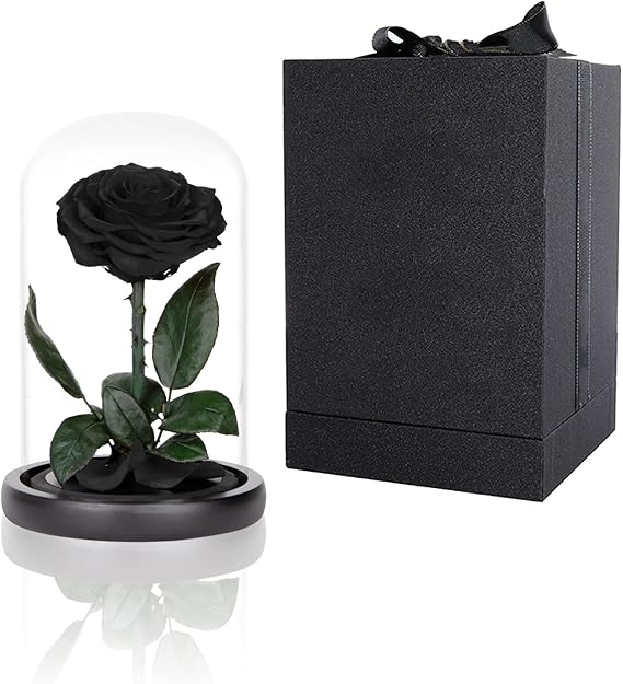 Preserved Roses Black Roses in Glass Dome, Medium, Preserved Flowers for Women