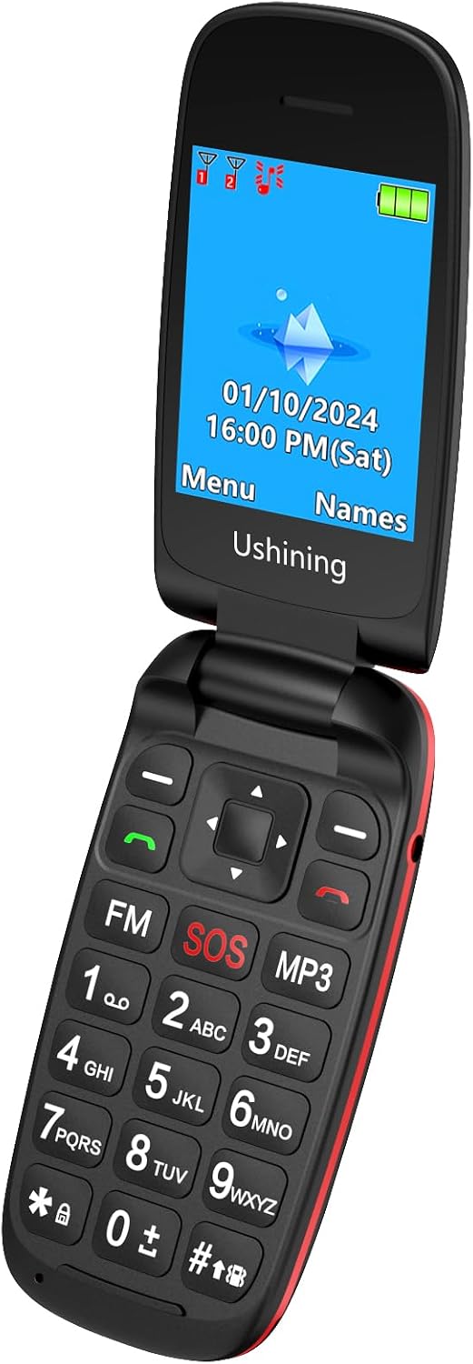 CHAKEYAKE 2G Flip Phone Unlocked Basic Phones with Large Icon Easy to Use Mobile Phone for Seniors and Kids Black