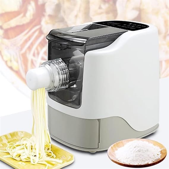 Electric Home Pasta Machine 260W Fully Automatic Noodle Pasta Maker Making Machine Pasta Extruder with 13 Noodle Molds, for Make Spaghetti, Noodles, Dumpling Skin and More