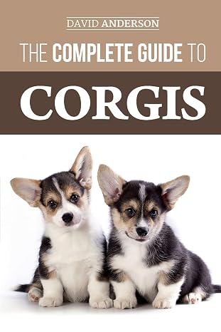 The Complete Guide to Corgis: Everything to Know About Both the Pembroke Welsh and Cardigan Welsh Corgi Dog Breeds