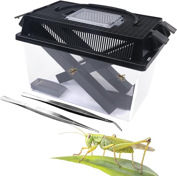 1 Pack Cricket Keeper Insect Keeper with 2 Pcs Dispenser Tubes and 2 Pcs Insect Stainless Steel Tweezers for Reptile Bearded Dragon Leopard Gecko Lizard Frog (Large)