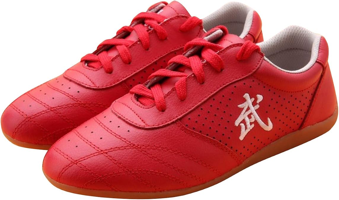 Chinese Wushu Shoes taolu Kungfu Martial Shoes Taichi Shoes for Men Women Fashion Sneakers