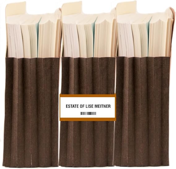 Blumberg Jazz Bands File Pocket Handle and Label (1 Package of 20 Bands, Brown)