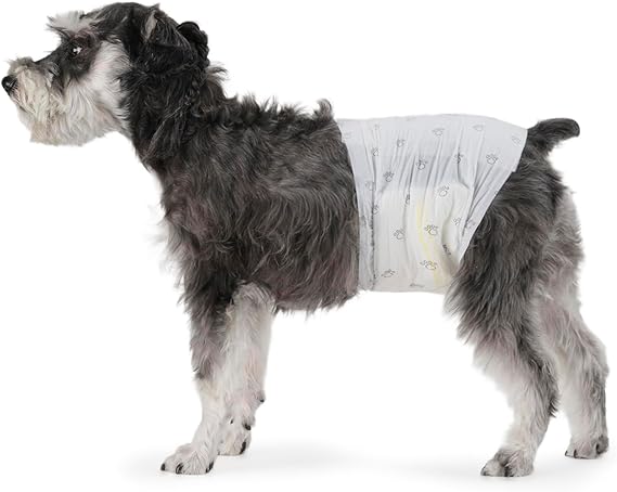 Amazon Basics Male Dog Diapers, Ultra Absorbent Disposable Wrap with Leak Proof Protection, Wetness Indicator, Secure Fit, Breathable, Medium, 30 Count