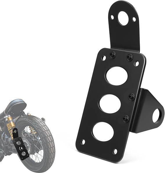 Amazicha Black 1" Axle Hole Side Mount License Plate Bracket Custom Horizontal Vertical Holder Compatible for Harley Honda Yamaha Suzuki Kawasaki Cruiser Chopper Bobber Custom Bike