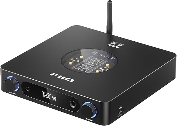 FIIO K13 Kompakt Masaüstü R2R mimarisi DAC ve Kulaklık Amplifikatörü (Siyah)