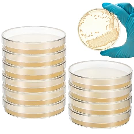 10Pcs Petri Dishes with Agar 2.75 inch Pre-Poured Agar Plates for Science Fair Project, Sterilized, for Students Science Experiments, Mycology Supplies, Transparent