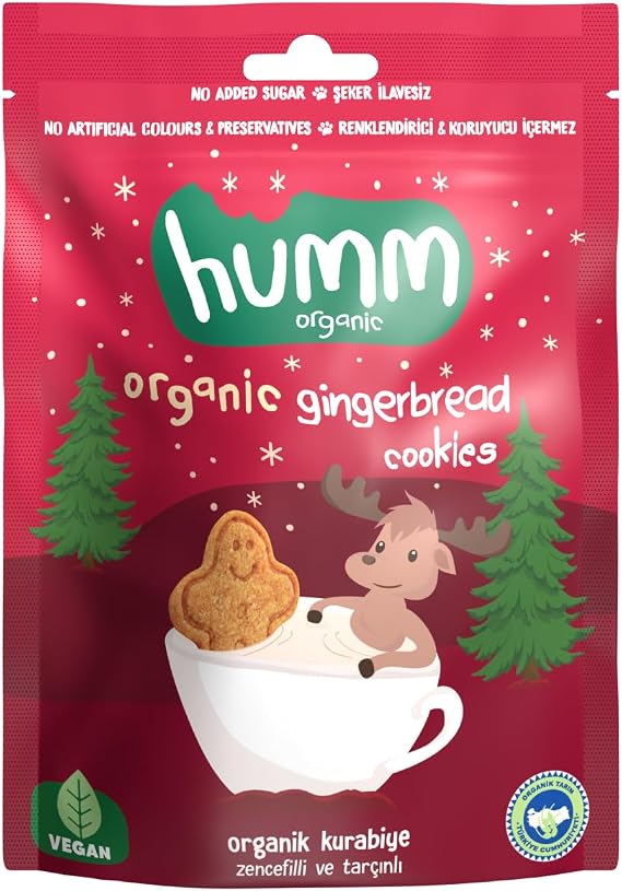 Humm Organic Organik Zencefilli Tarçınlı Vegan Kurabiye 1 Paket(55 Gr x 1 Adet)