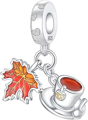 925 Sterling Silver Charms fits Bracelets and Necklace Pendant Bead Charms Jewelry Gift for Women Family Friends