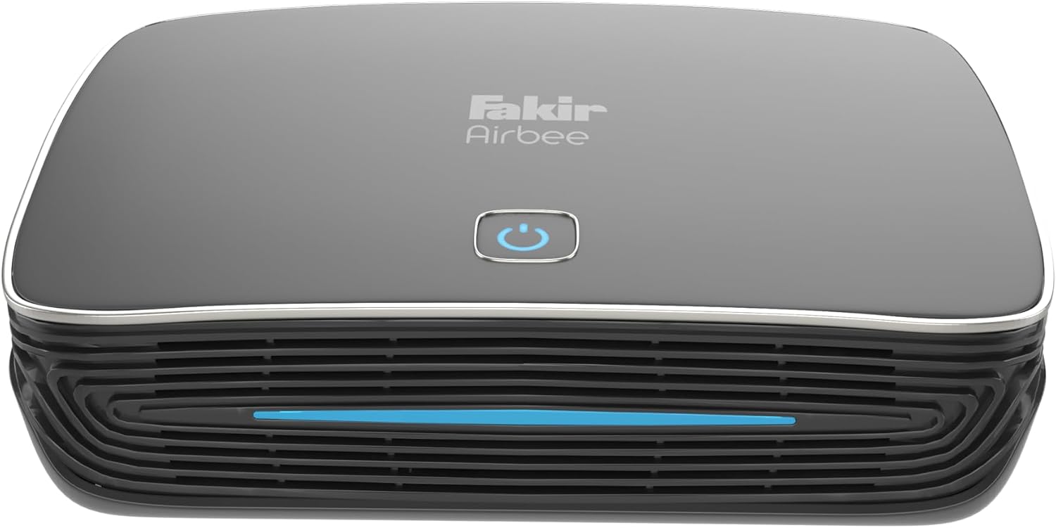 Poor Airbee Car Air Purifier